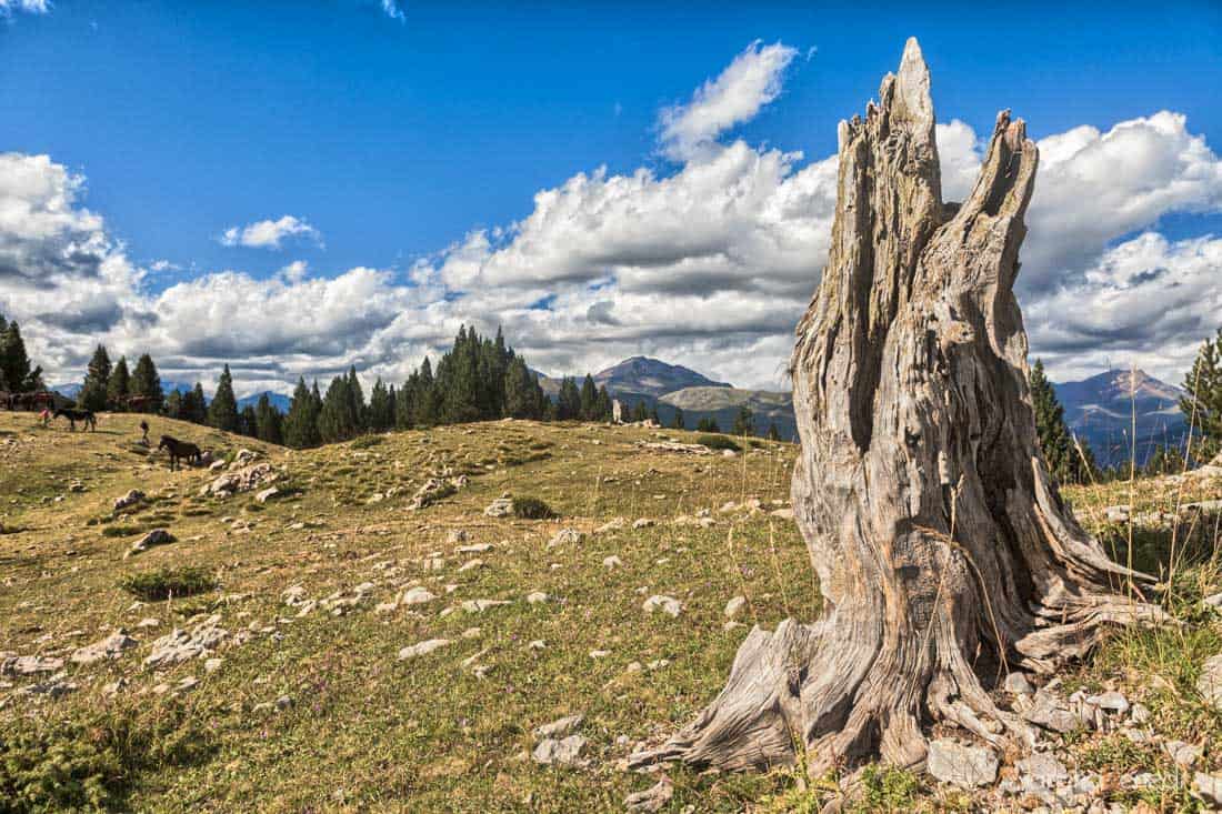 Albergue de Sin Tella Sobrarbe Ordesa Pirineo